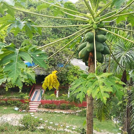 Vila Entre Bosques Tayrona Los Naranjos Pokoj fotografie