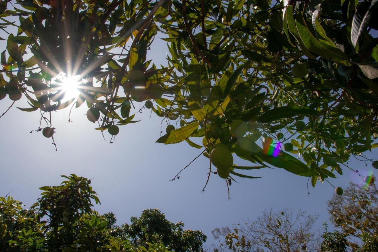 Vila Entre Bosques Tayrona Los Naranjos Exteriér fotografie