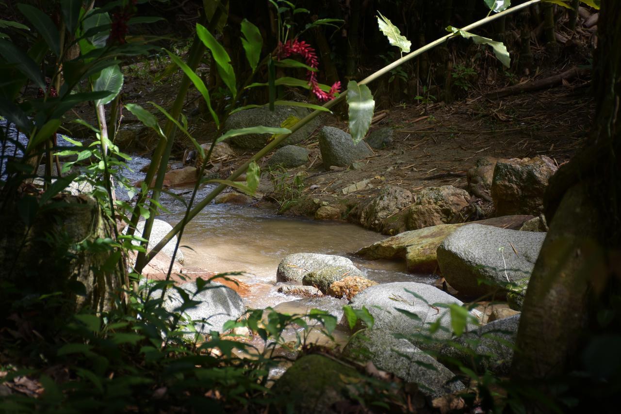 Vila Entre Bosques Tayrona Los Naranjos Exteriér fotografie