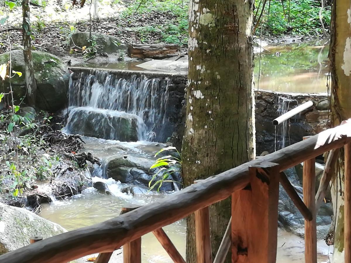 Vila Entre Bosques Tayrona Los Naranjos Exteriér fotografie